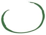 Trauerbegleitung Bonn - Editha Kentrup-Bentzien Logo