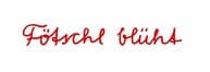 Martin Fötschl - VdF Logo