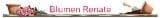 Grabpflege und Blumenhandel - Blumen Renate Petrides Logo