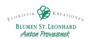 Provasnek Anton jun Logo