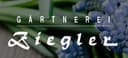 Grabpflege und Blumenhandel - Gärtnerrei Ziegler Logo