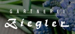 Grabpflege und Blumenhandel - Gärtnerrei Ziegler Logo