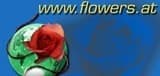 FLEUR - BLUMENSALON Logo