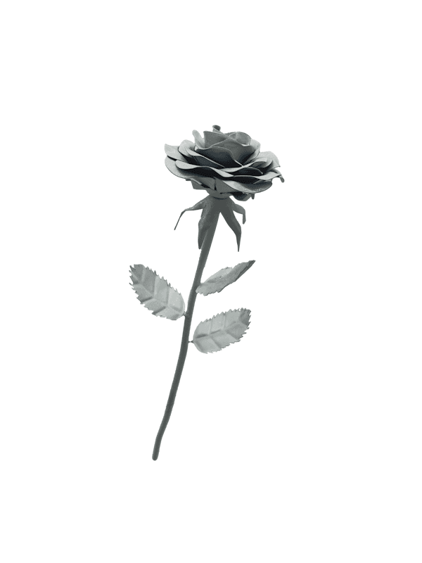 Stahlrose weiß