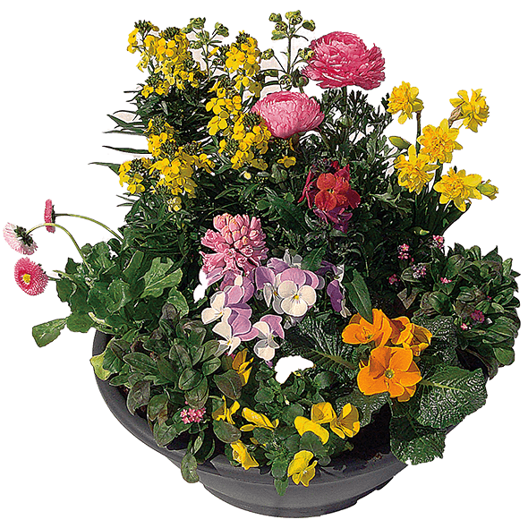 Blumenschale