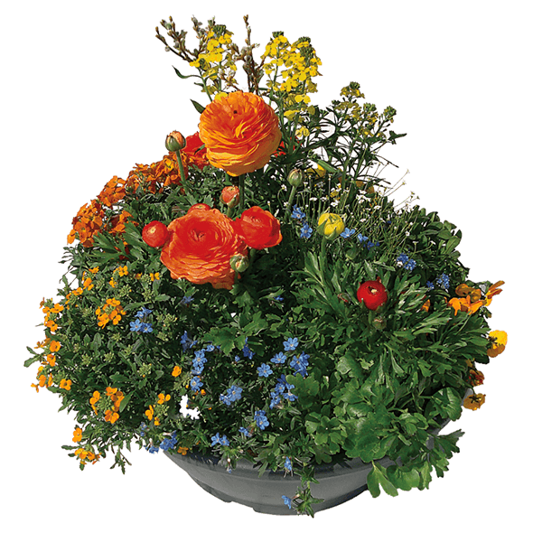 Blumenschale