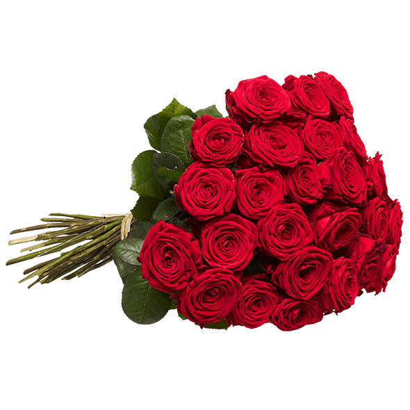 30 rote Rosen